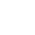 tigre